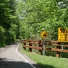 Allegany State Park